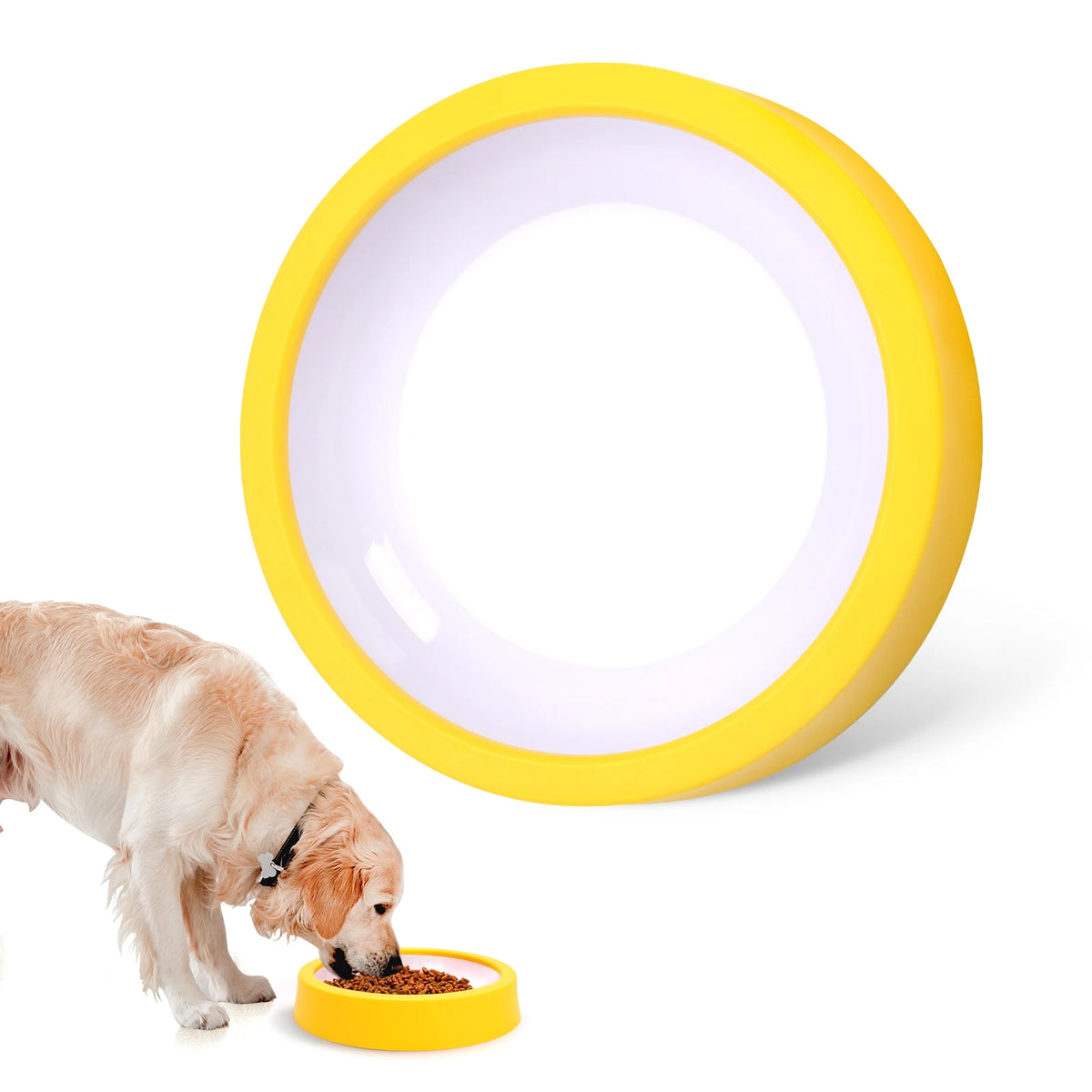 Slow Feeder Bowl
