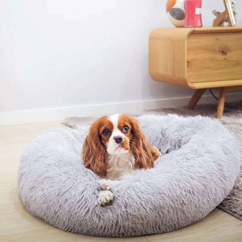 Calming Donut Bed