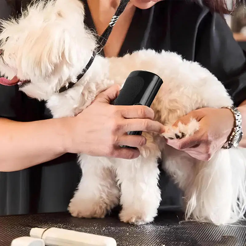 Deshedding Brush