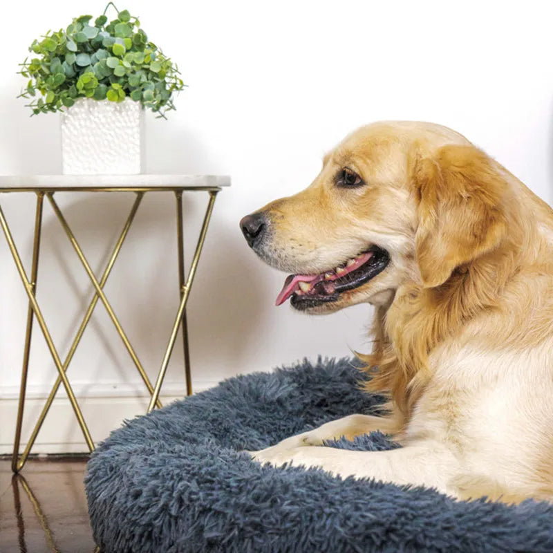 Calming Donut Bed