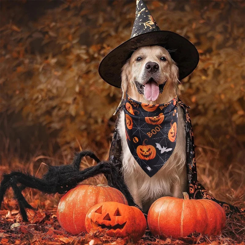 Halloween Dog Bandana Set (2 Pack)