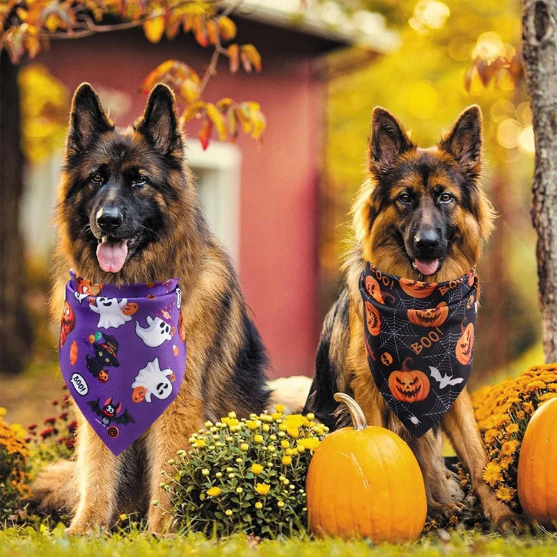 Halloween Dog Bandana Set (2 Pack)