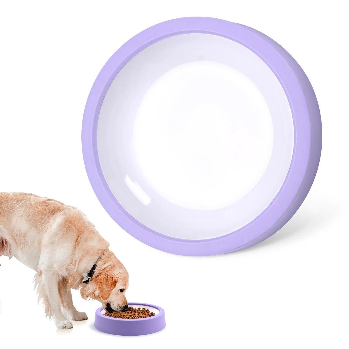 Slow Feeder Bowl